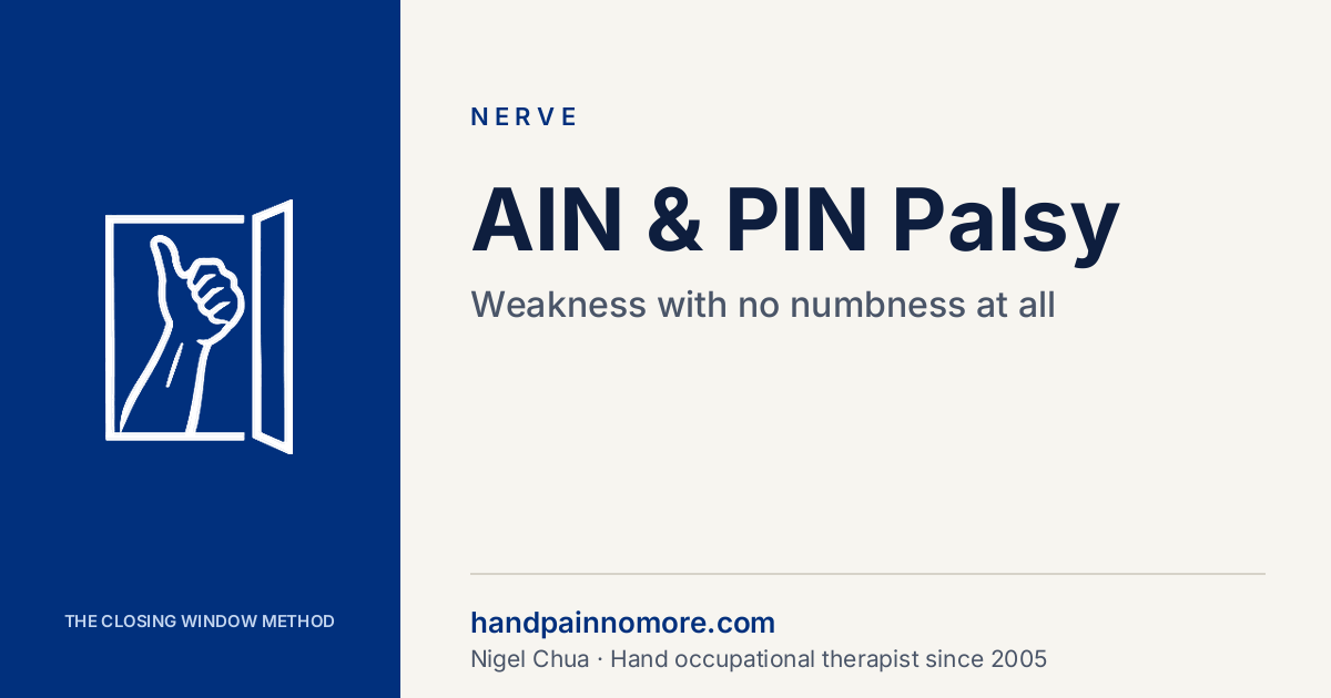 AIN and PIN Palsy: Weakness With No Numbness at All