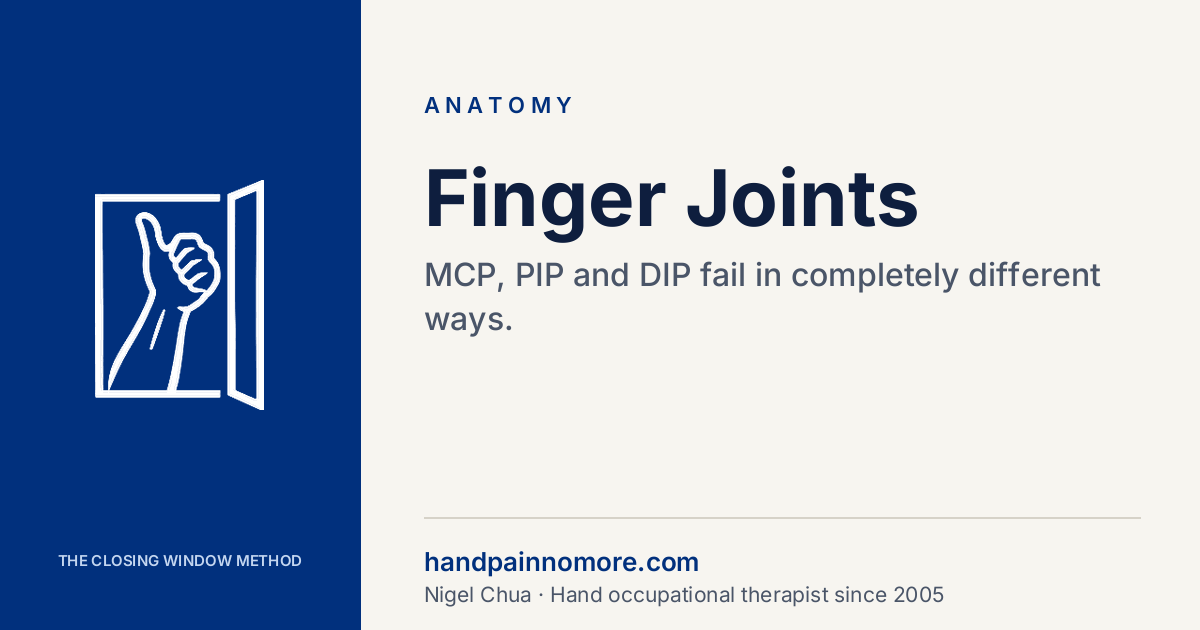 Finger Joints: MCP, PIP, DIP and Why the Middle One Matters