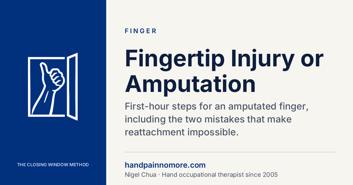 Fingertip Injury or Amputation: The First Hour & After