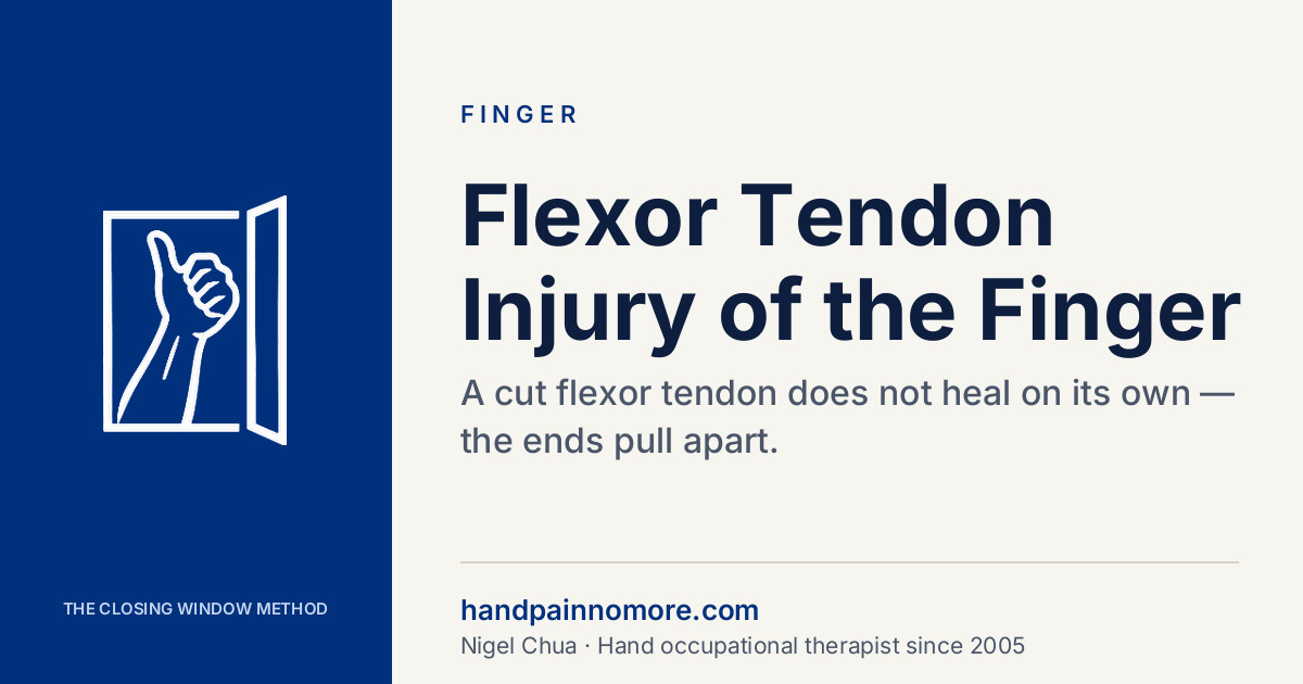 Flexor Tendon Injury of the Finger: The Cut That Won’t Heal