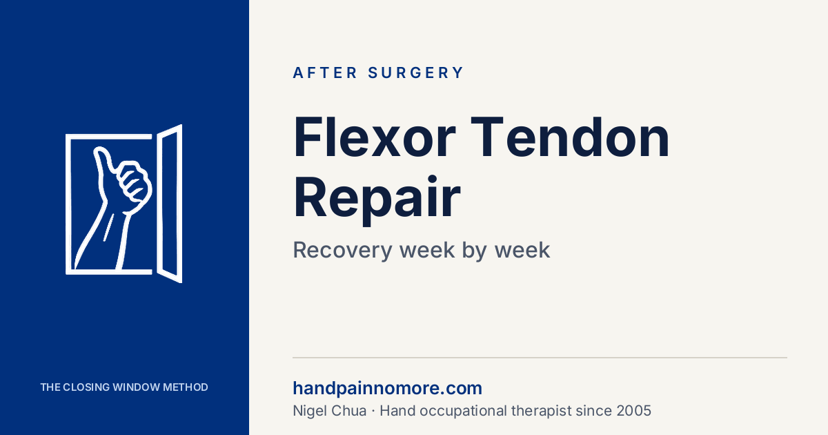 Flexor Tendon Repair: Recovery Week by Week