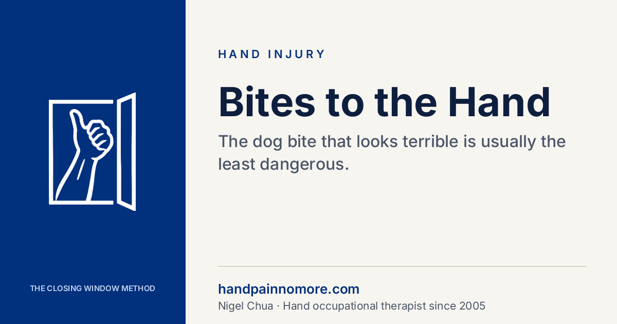 Bites to the Hand: Why the Small Ones Are the Dangerous Ones