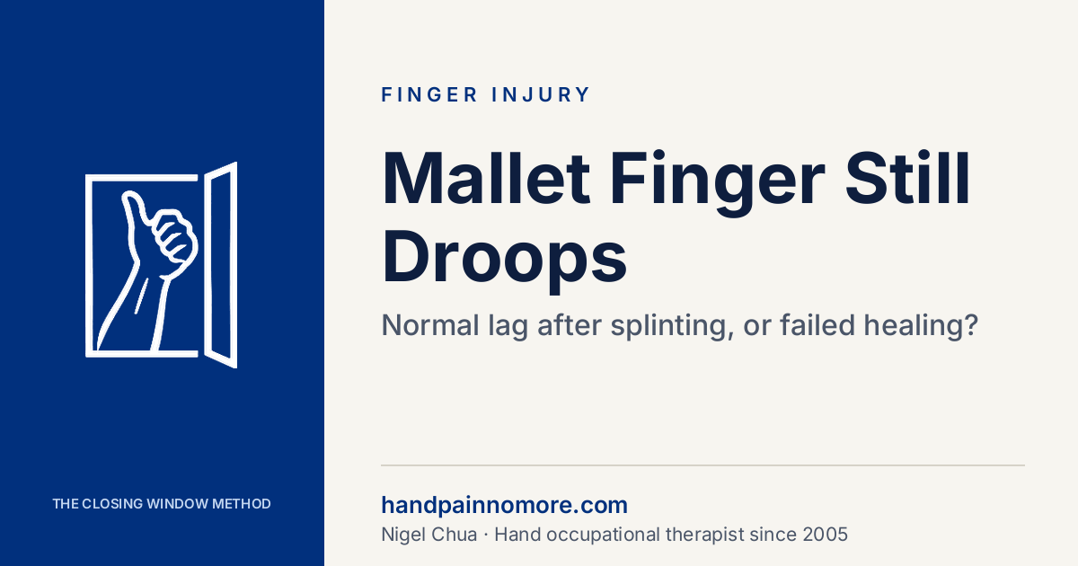 Mallet Finger Still Droops After Splinting: Normal Lag or Failed Healing?