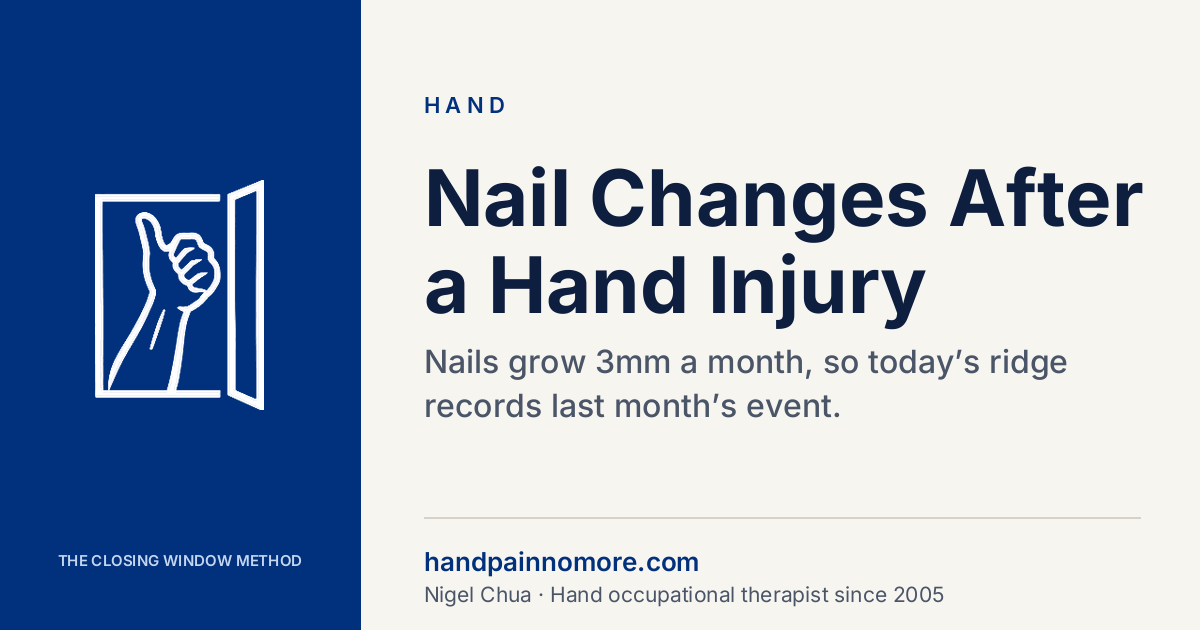Nail Changes After a Hand Injury: A 6-Month Record