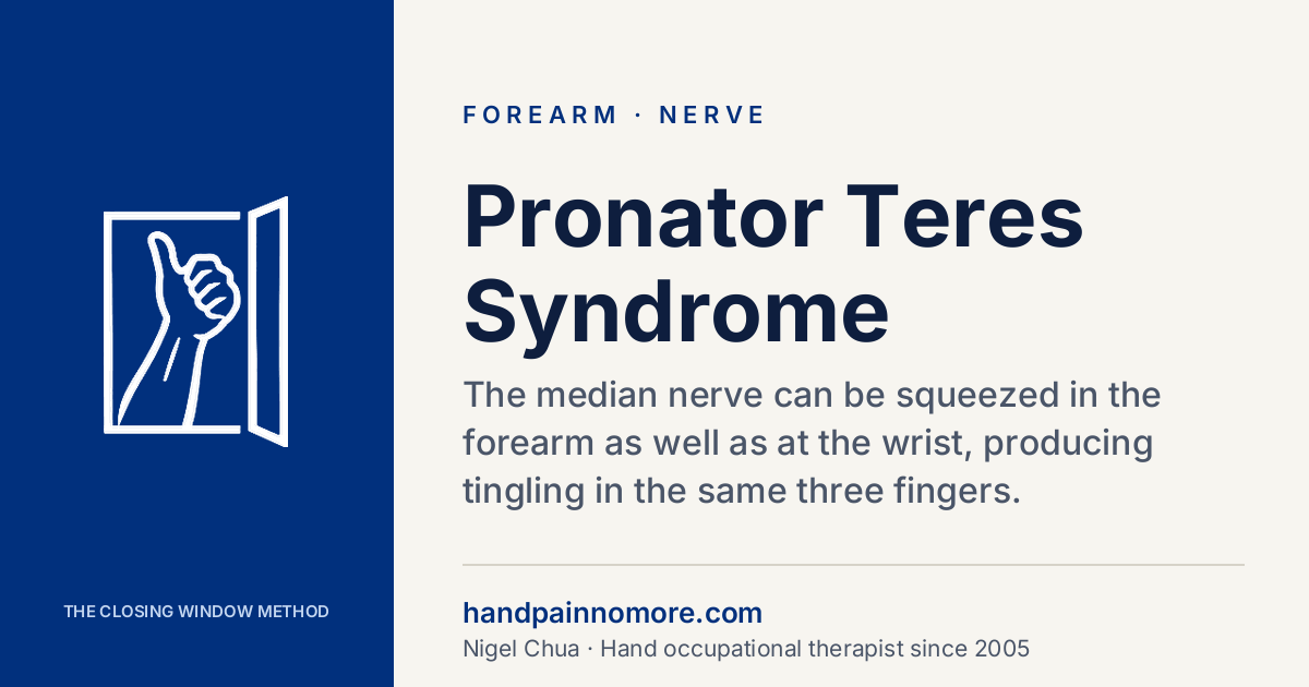 Pronator Teres Syndrome: Carpal Tunnel From the Forearm