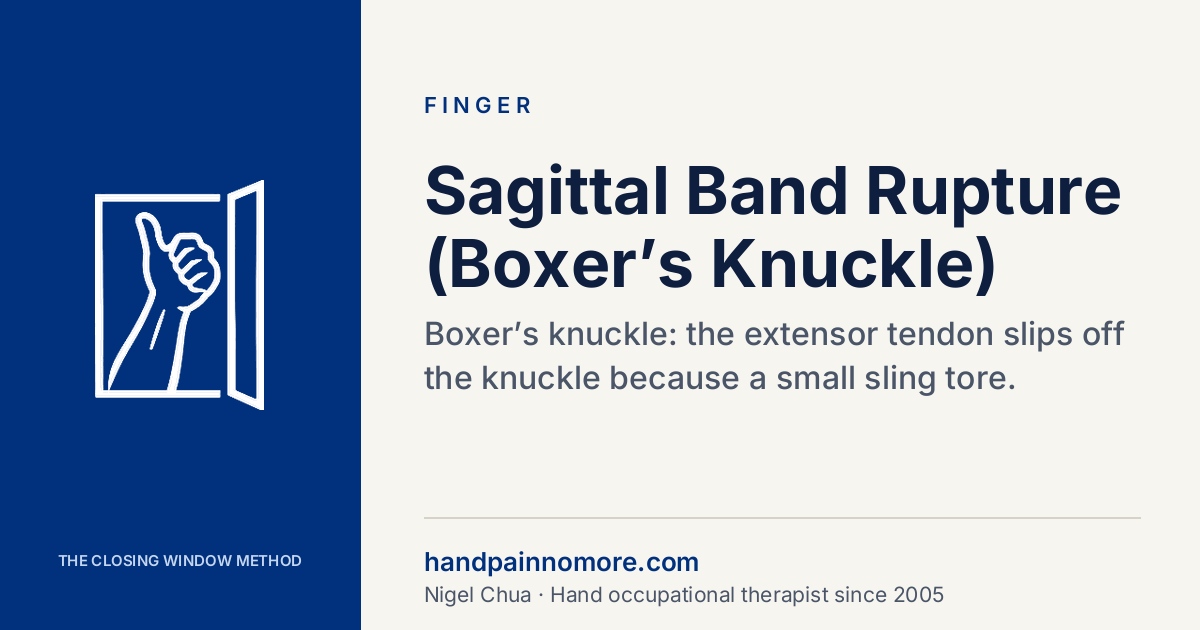 Sagittal Band Rupture (Boxer’s Knuckle): Slipping Tendon