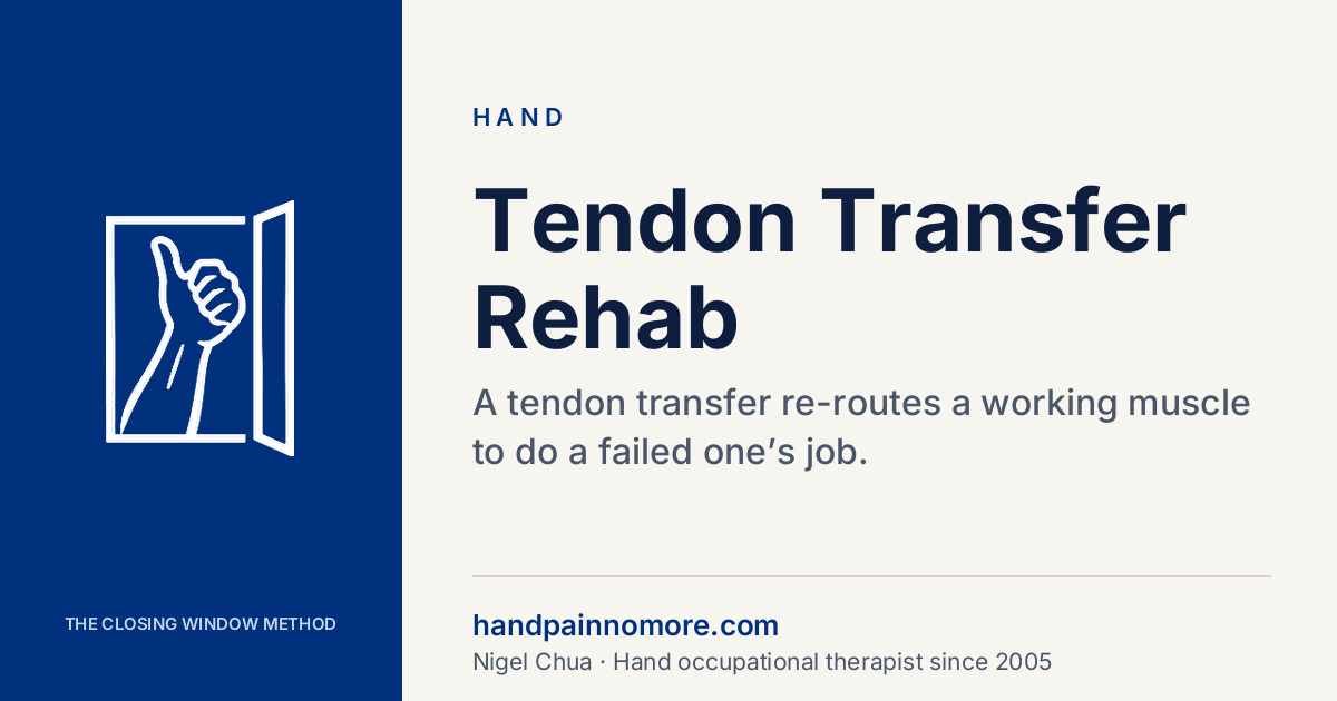 Tendon Transfer Rehab: Retraining the Brain